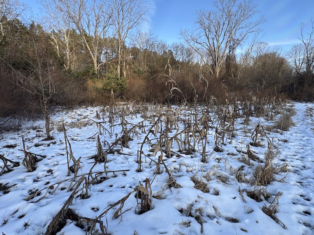 2500 West Quarter Line Road Sanford, MI 48657 - Photo 100 of 241 IMG_8367