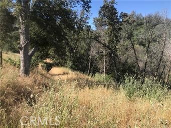 4521 Alamo Creek Road Mariposa, CA 95338 - Photo 2 of 4 a view of a yard