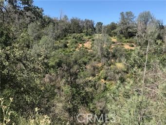 4521 Alamo Creek Road Mariposa, CA 95338 - Photo 3 of 4 a view of a field with trees in the background