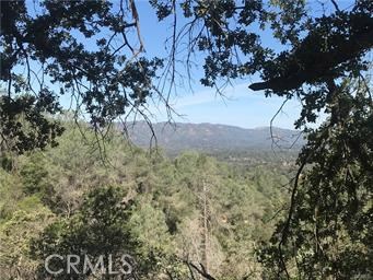 4521 Alamo Creek Road Mariposa, CA 95338 - Photo 4 of 4 a view of a bunch of trees