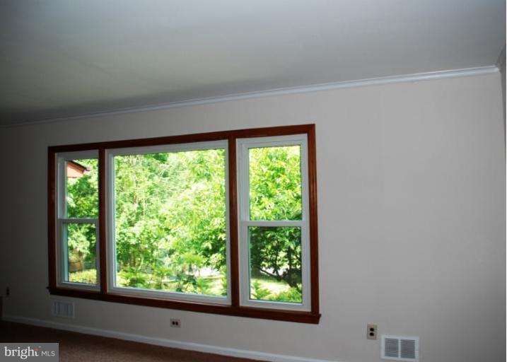 713 Apple Grove Road Silver Spring, MD 20904 - Photo 7 of 29 View