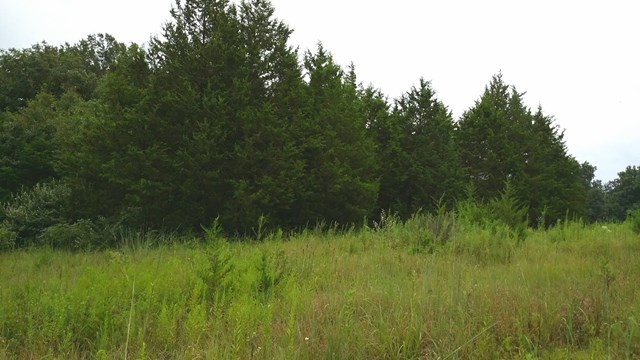 166 County Road Auxvasse, MO 65231 - Photo 23 of 27