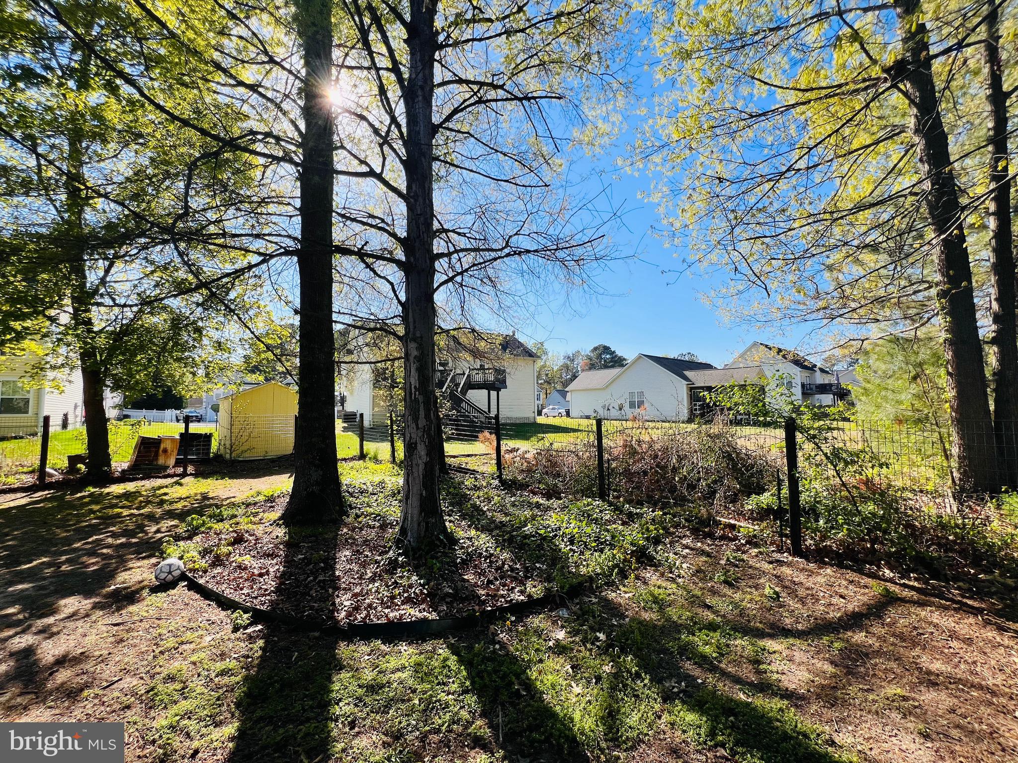 213 Forest Avenue Colonial Beach, VA 22443 - Photo 14 of 54 a view of a large yard with plants and large trees