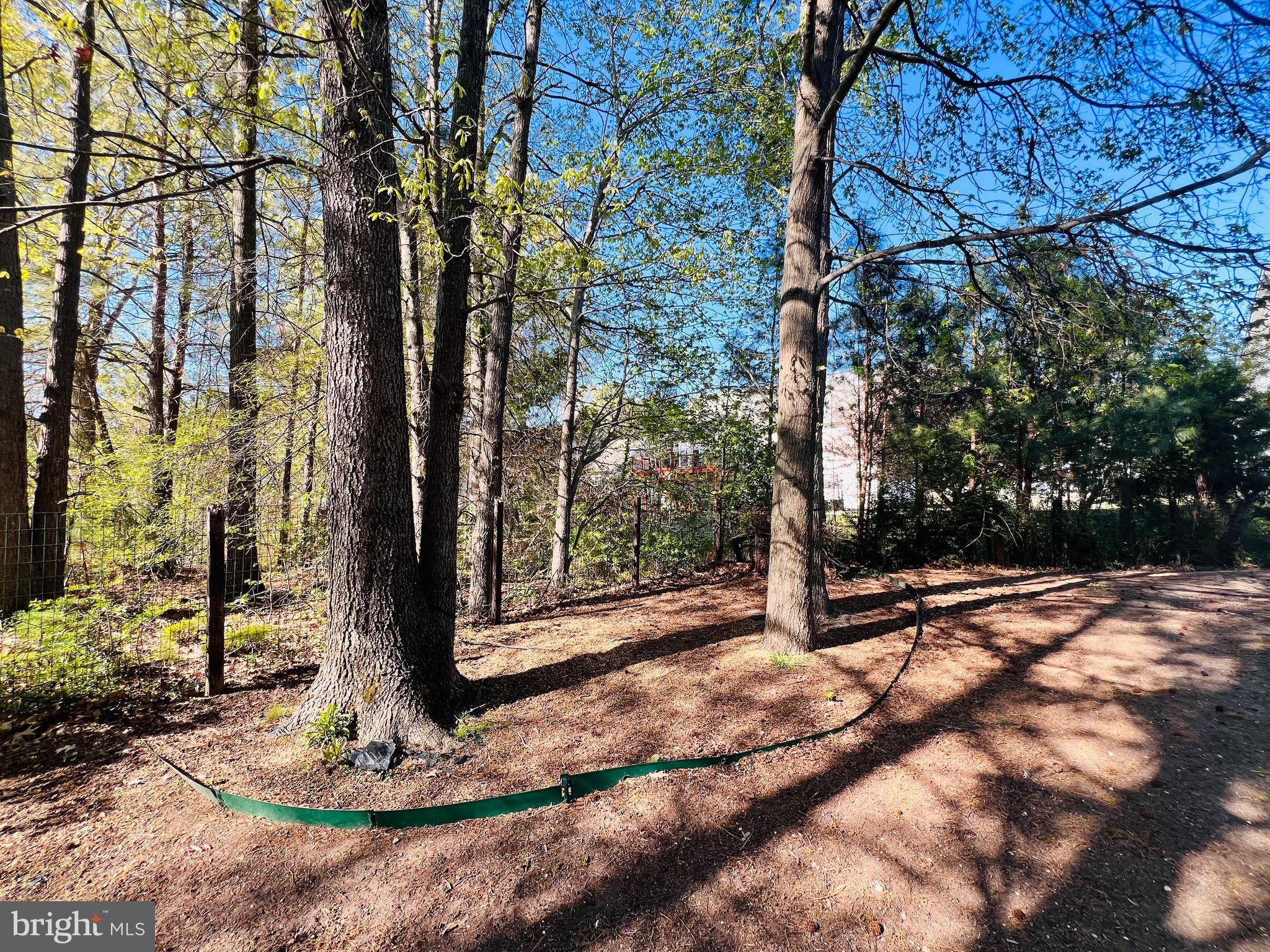 213 Forest Avenue Colonial Beach, VA 22443 - Photo 15 of 54