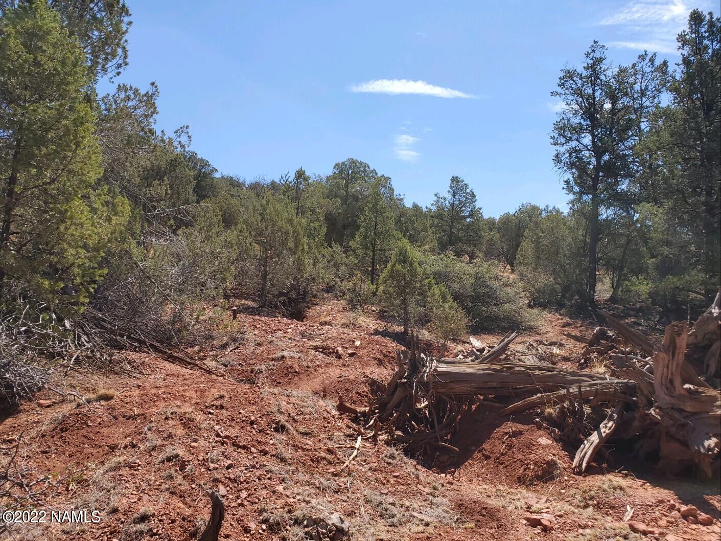 Parcel # Parcel Ash Fork, AZ 86320 - Photo 2 of 4 20220611_103116