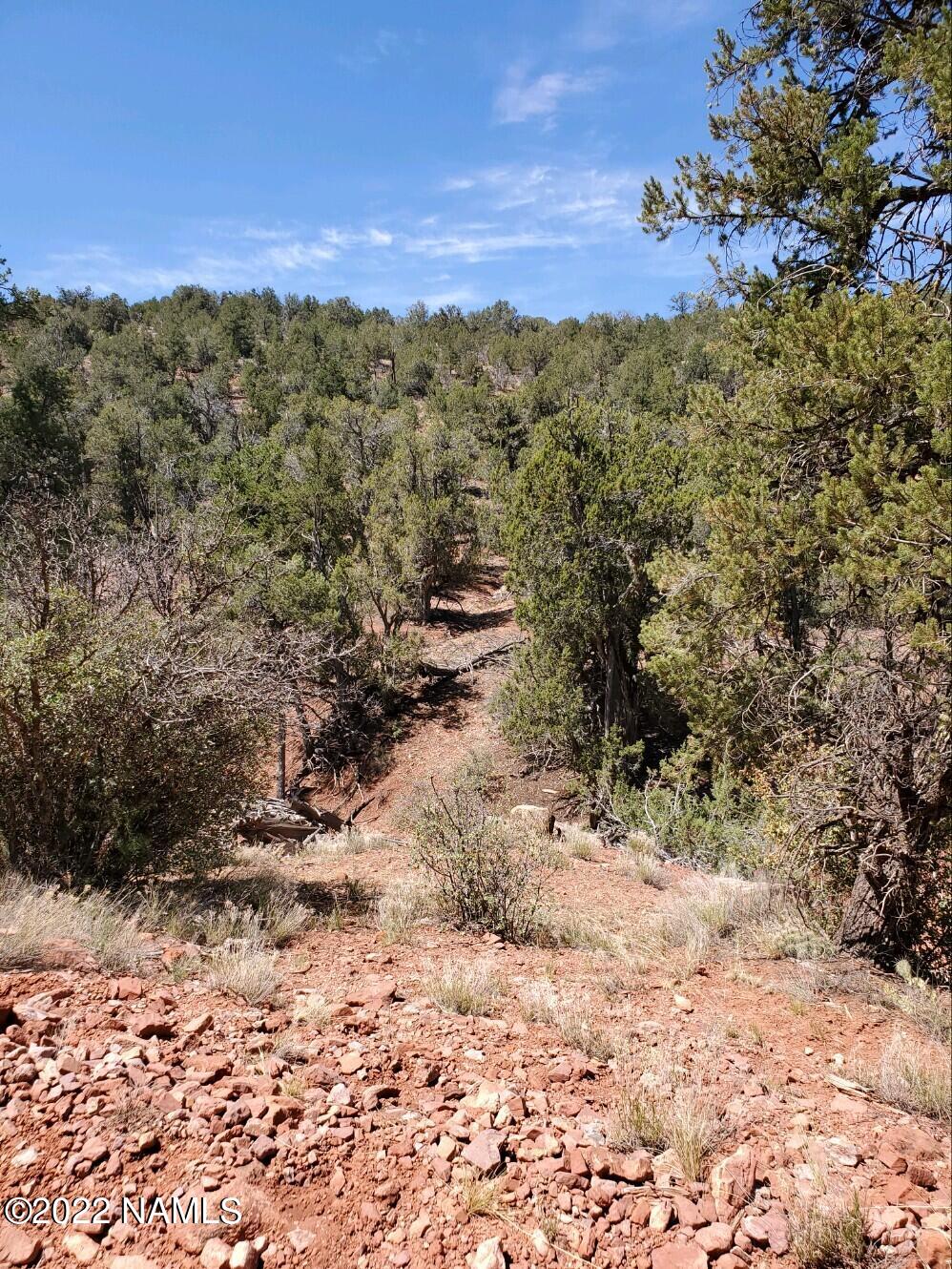 Parcel # Parcel Ash Fork, AZ 86320 - Photo 3 of 4 20220611_103331