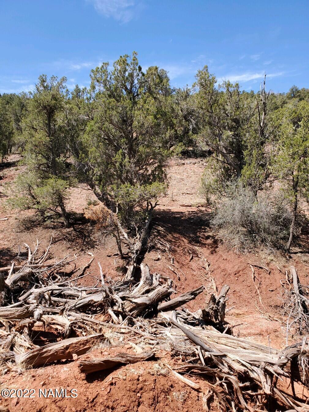 Parcel # Parcel Ash Fork, AZ 86320 - Photo 4 of 4 20220611_103013