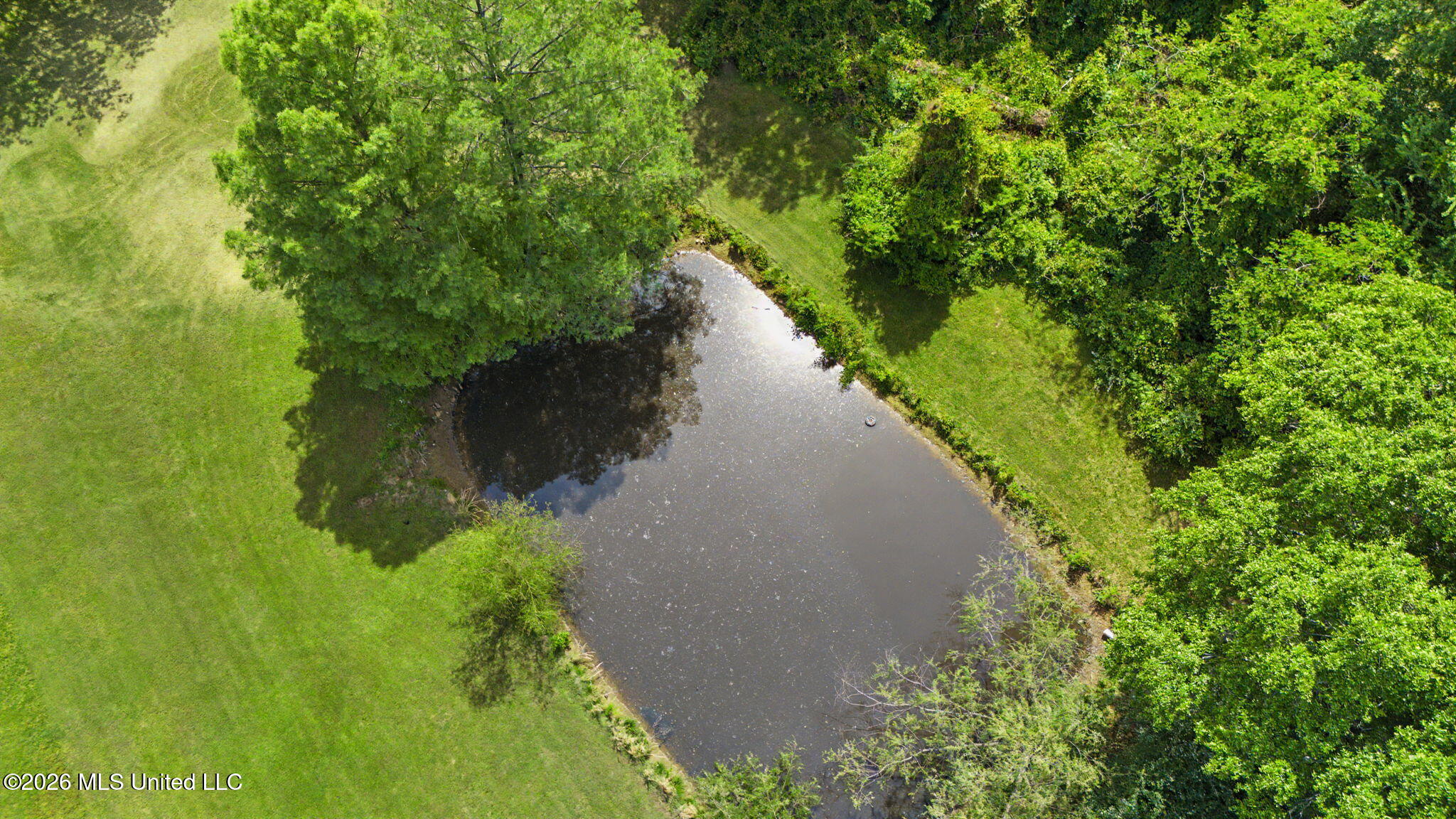 2155 Mt Pleasant Road Hernando, MS 38632 - Photo 34 of 40 pond!