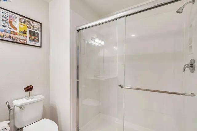 a bathroom with a shower and a toilet
