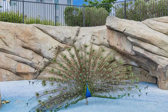 $1,174,000 | 223 William Manly Street, Unit 1, San Jose, CA 95136