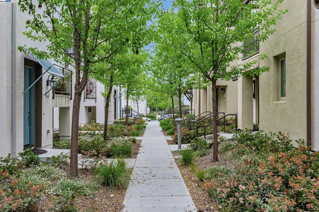a view of a pathway with house on both side