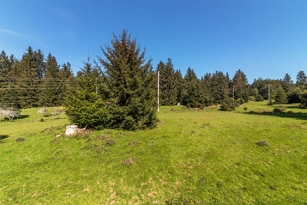 1255 Alder Grove Road Arcata, CA 95521 - Photo 64 of 72