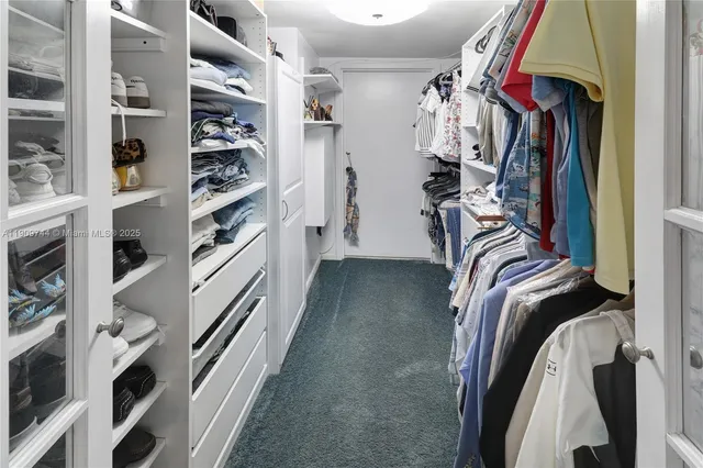 a view of walk in closet with clothes and shoes