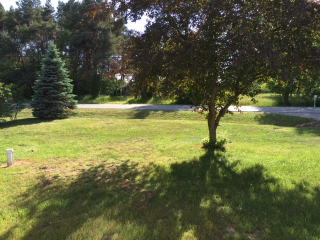 3553 South Shepherd Road Mount Pleasant, MI 48858 - Photo 19 of 20 1818075-18.JPG
