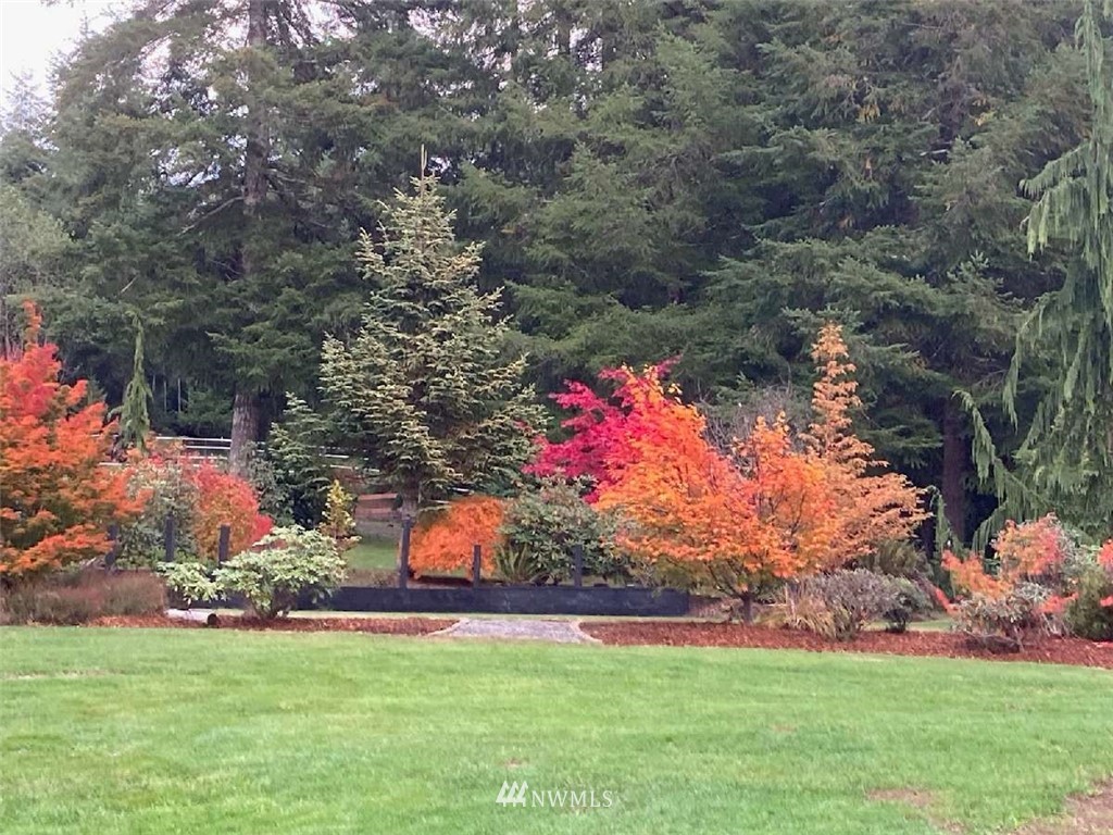 101 Abbott Road Elma, WA 98541 - Photo 25 of 30 Gallery Image 25