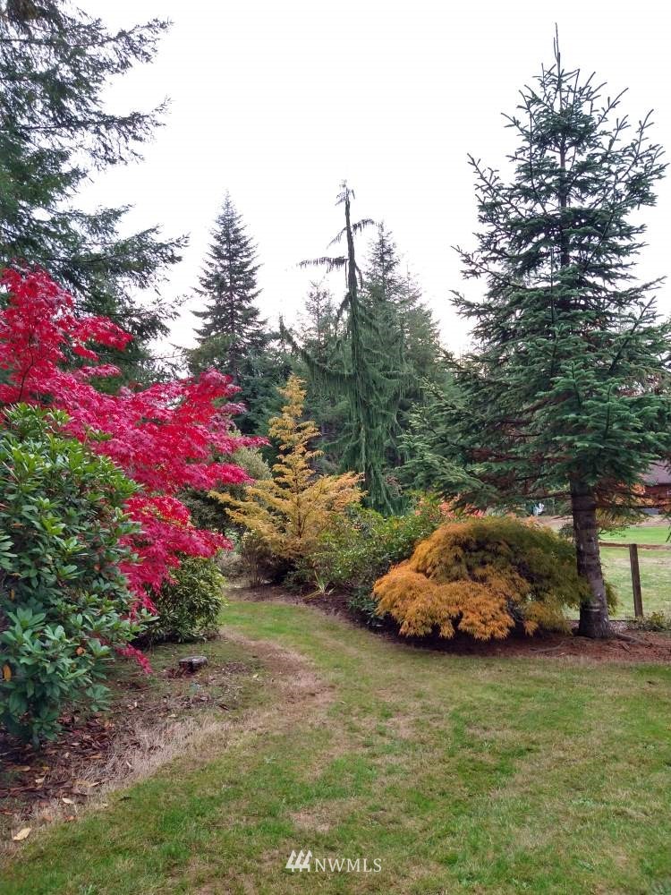 101 Abbott Road Elma, WA 98541 - Photo 26 of 30 Gallery Image 26