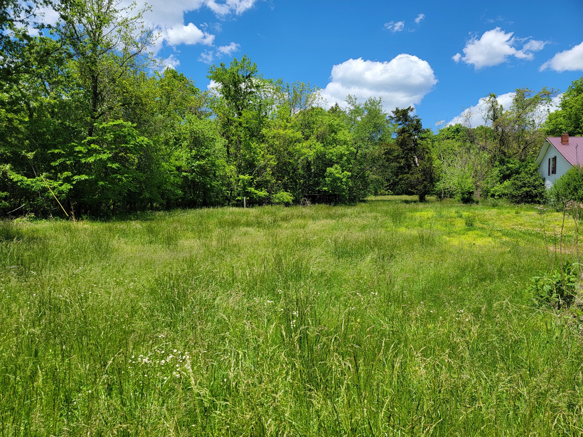 1430 Balthrop Branch Road Dickson, TN 37055 - Photo 4 of 5 Gallery Image 4