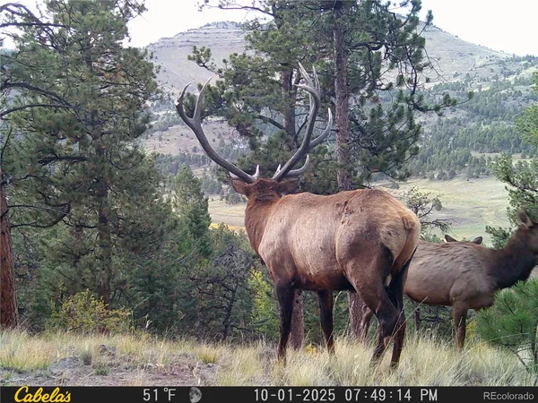 $2,200,000 | 9100 County Road 102, Guffey, CO 80820