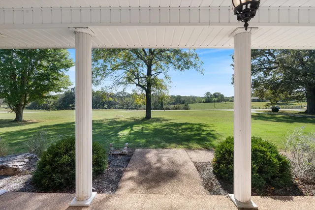 a view of a garden with a tree in it