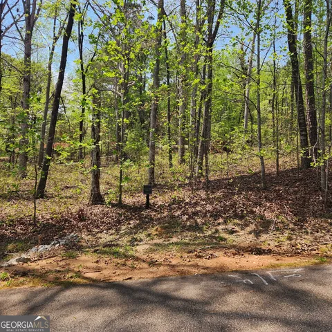 a backyard of a house with lots of trees