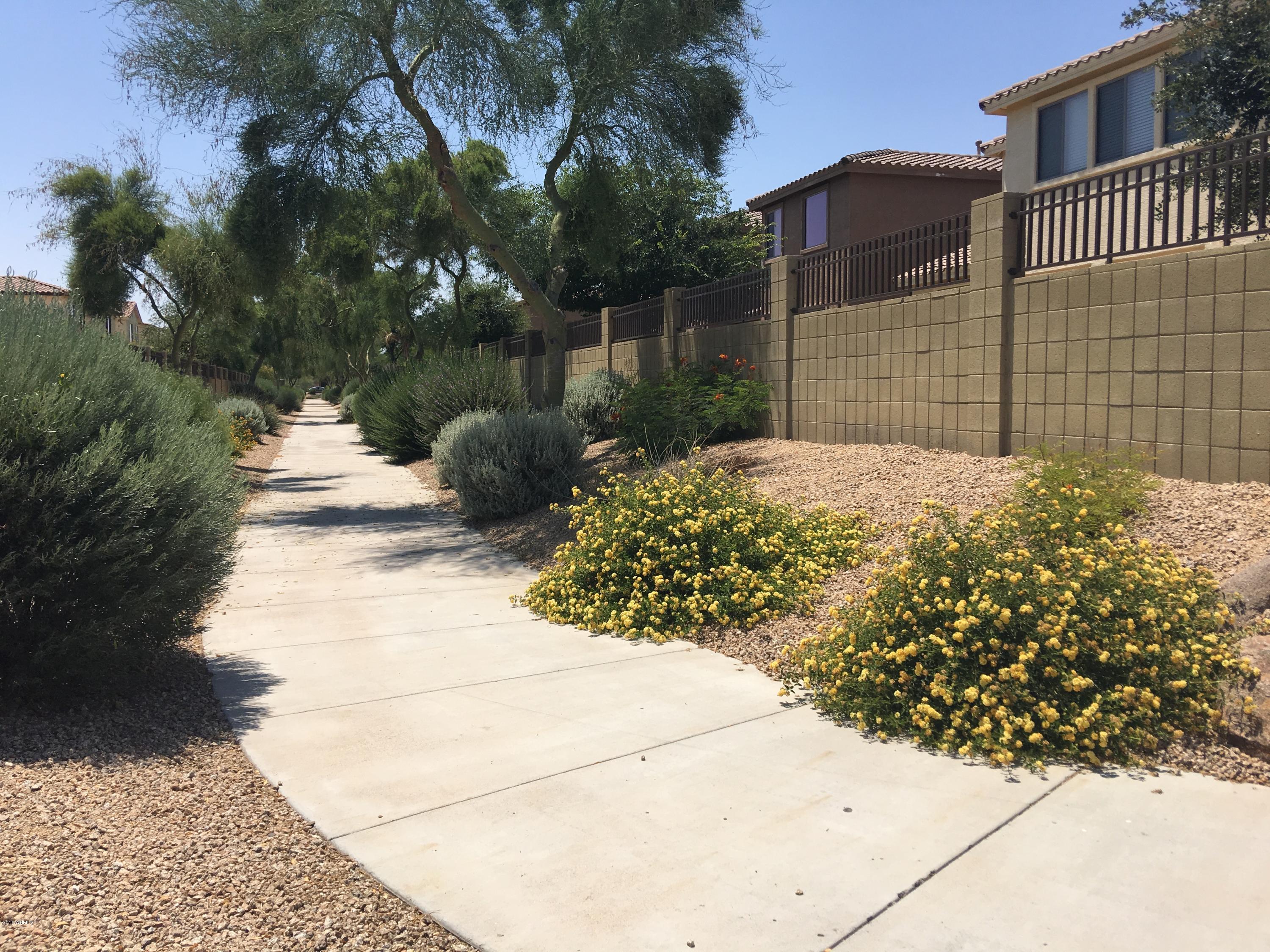 15299 West Roma Avenue Goodyear, AZ 85395 - Photo 59 of 59 IMG_1309