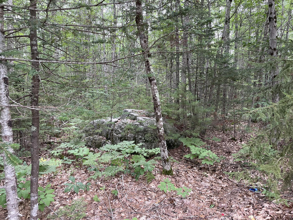 0 Evergreen Road Newcastle, ME 04553 - Photo 5 of 11 366D2F89-E934-45E7-9D70-D6E2F76DA790_1_1