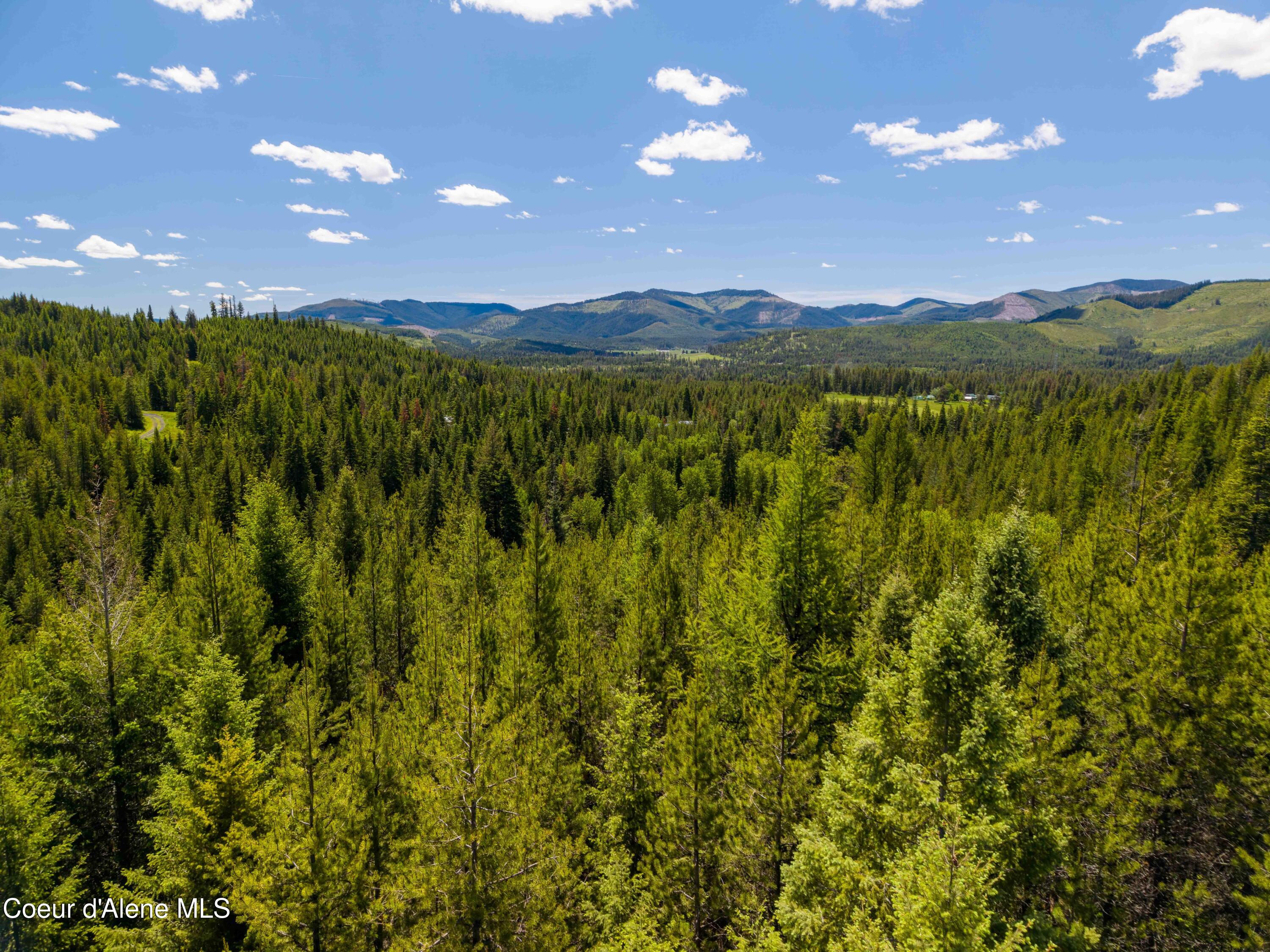 1314 Finn Creek Road Fernwood, ID 83830 - Photo 18 of 23 June 11 2026 (19 of 20)