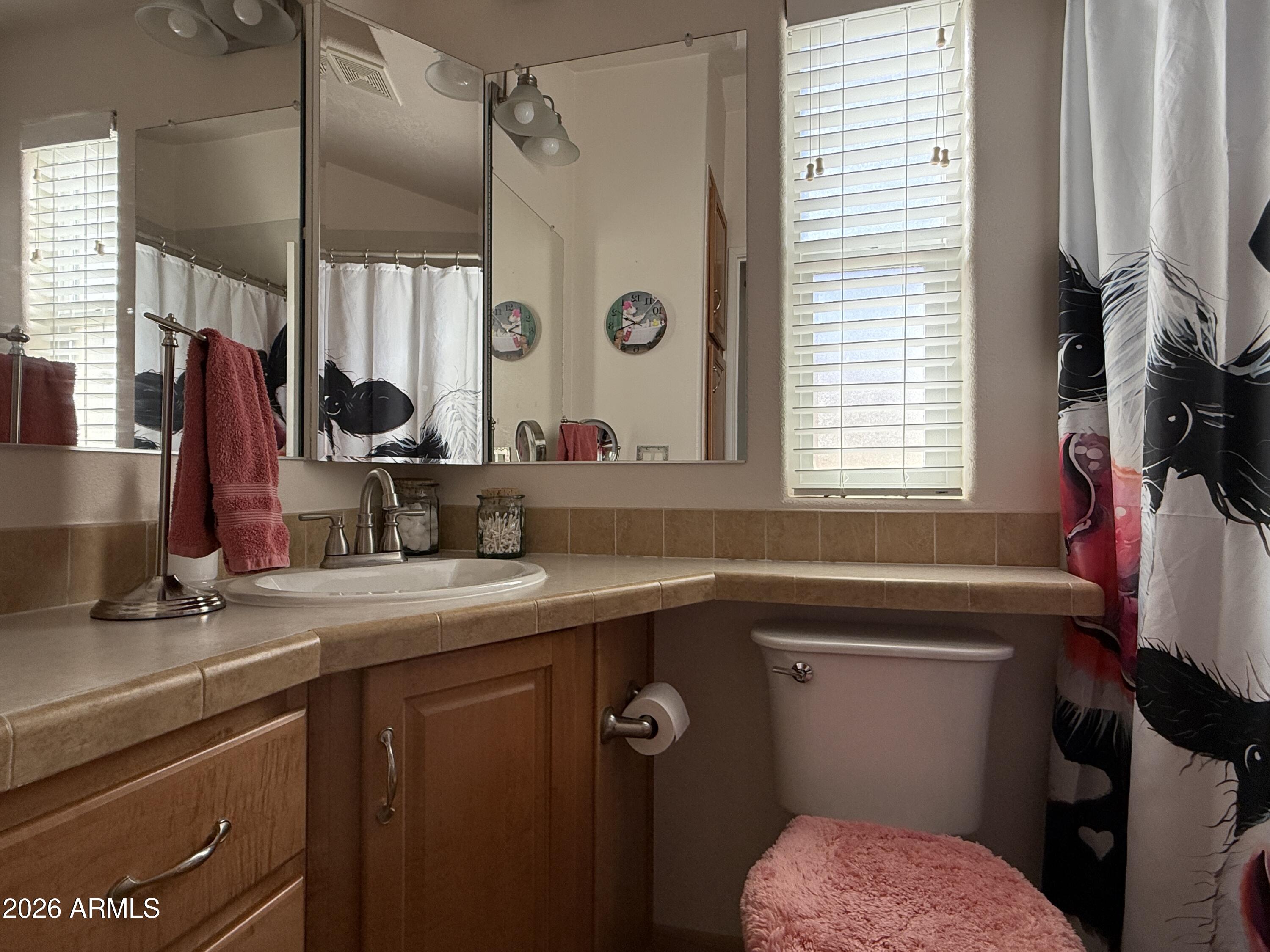 21175 Westward View Road, Unit 241 Congress, AZ 85332 - Photo 29 of 49 Bath with step in shower (1)