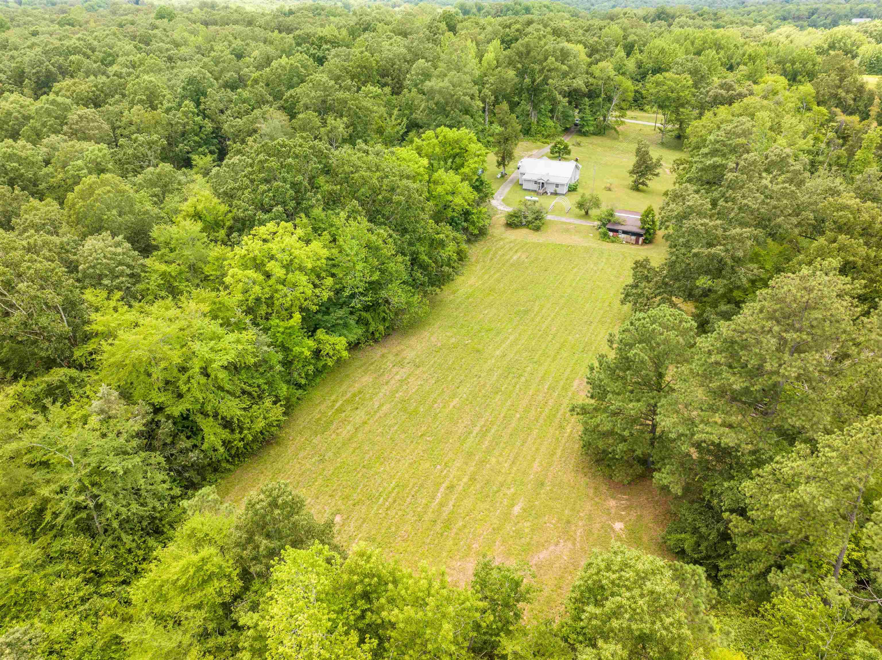 286 J B Weatherford Road Decaturville, TN 38329 - Photo 11 of 28 Photo 12