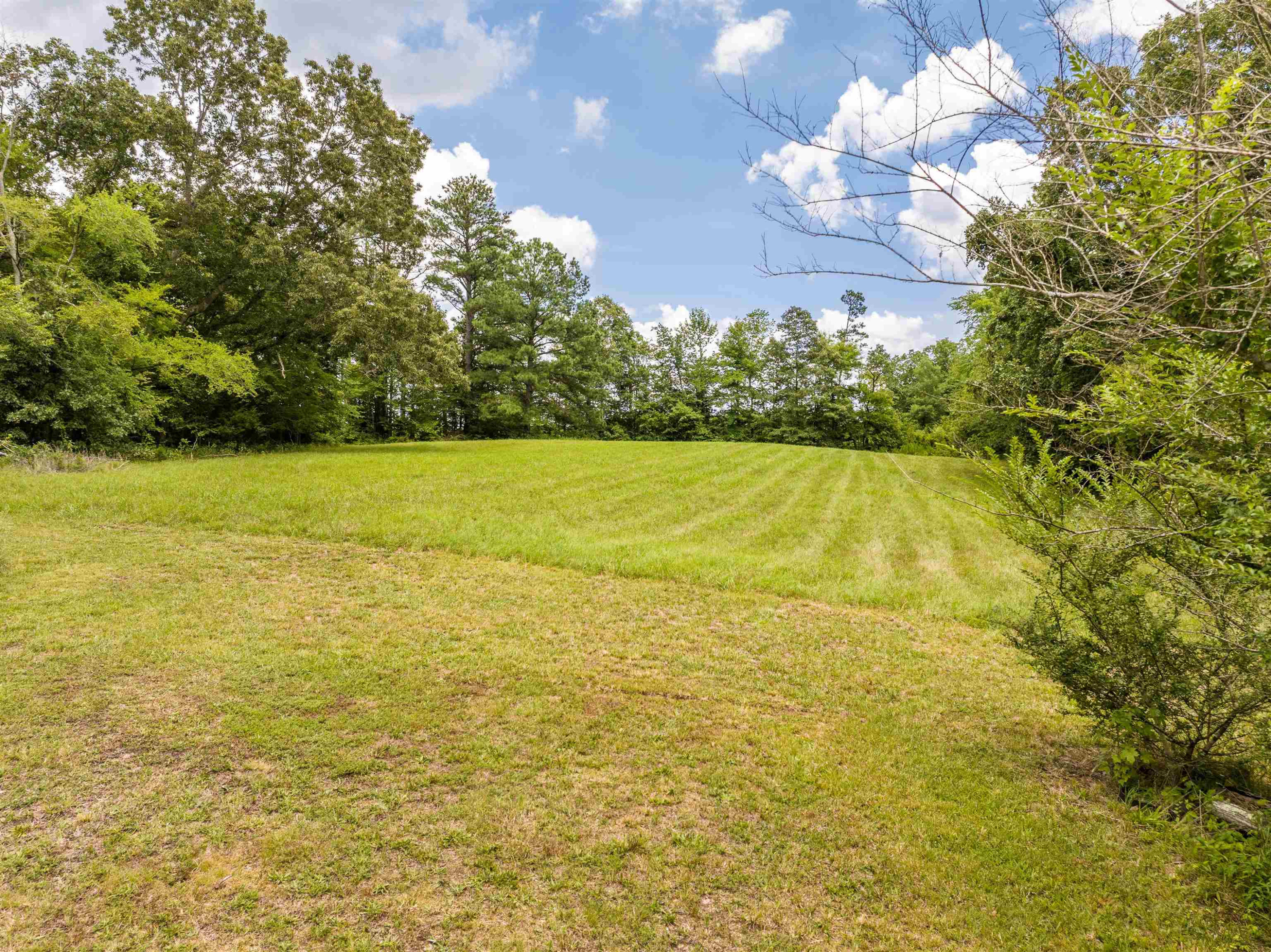 286 J B Weatherford Road Decaturville, TN 38329 - Photo 14 of 28 Photo 15