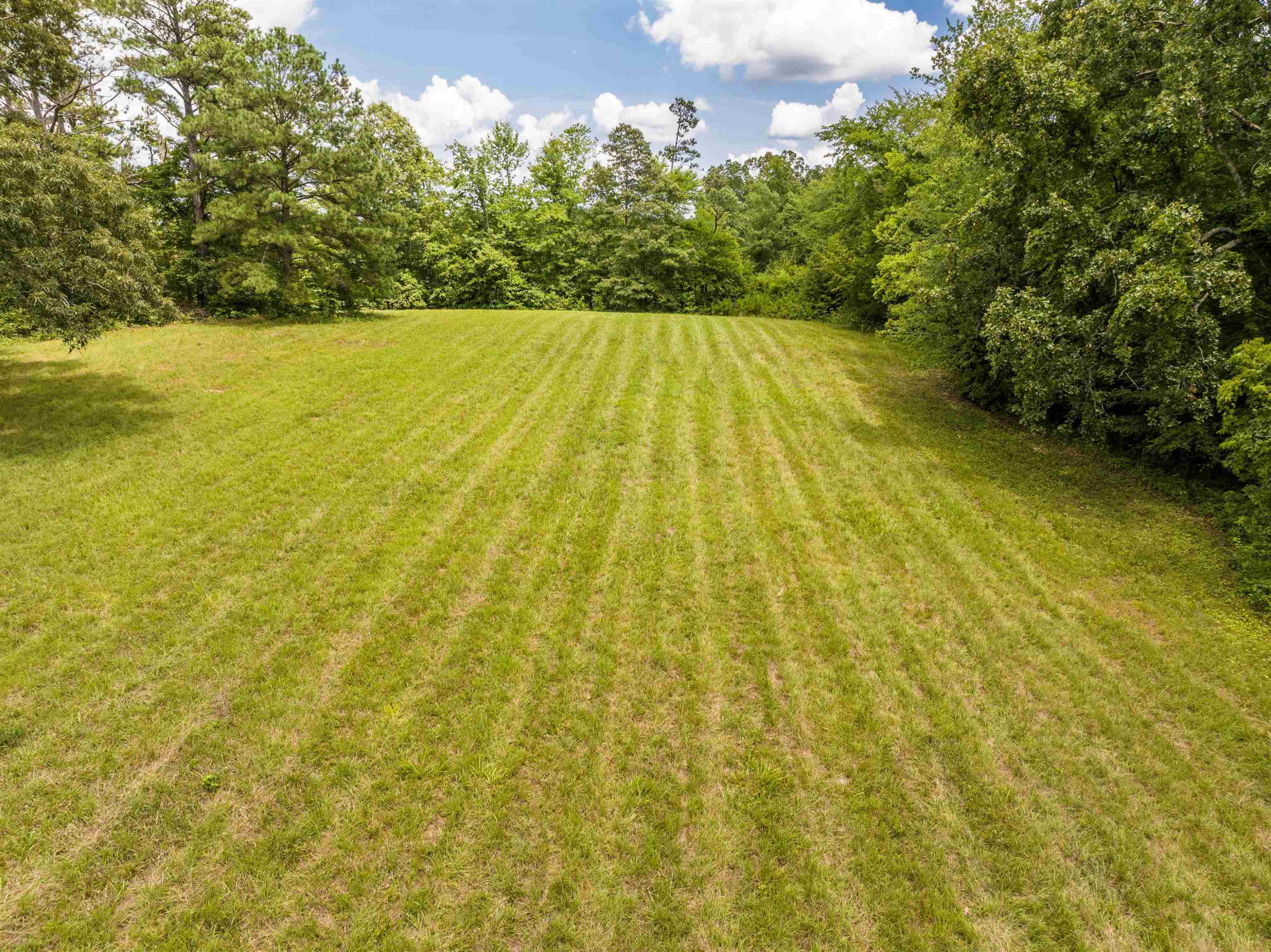 286 J B Weatherford Road Decaturville, TN 38329 - Photo 8 of 28 Photo 9