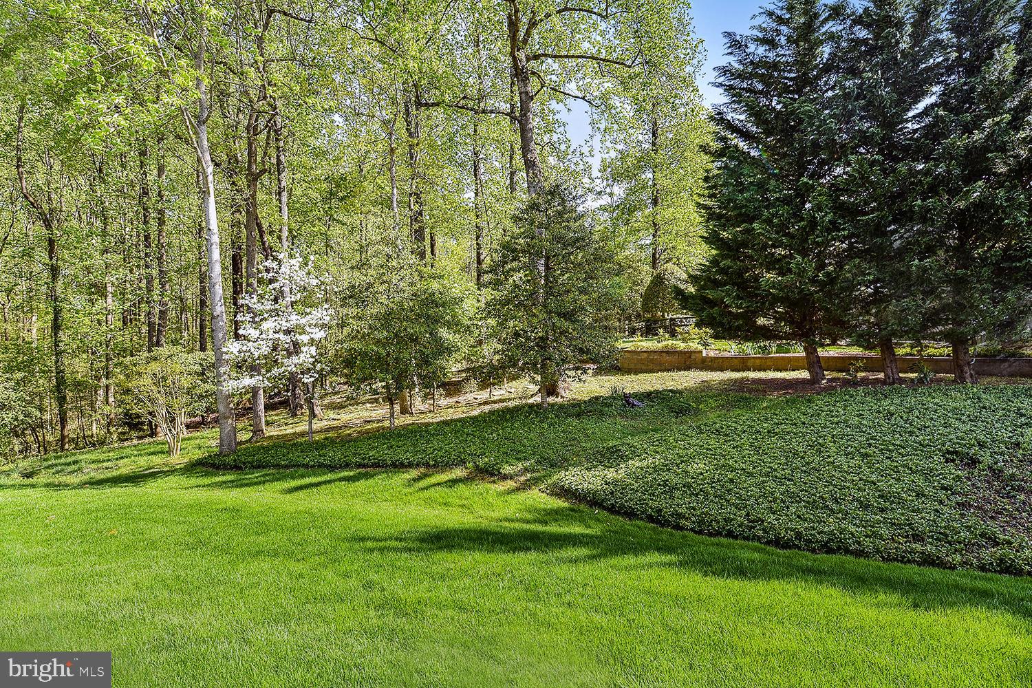 783 Eastern Point Road Annapolis, MD 21401 - Photo 6 of 59 Carefree Tree-Lined, Landscaped Views!