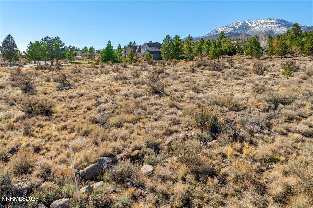 205 Paddington Court Reno, NV 89511 - Photo 3 of 17 a view of a forest with a street