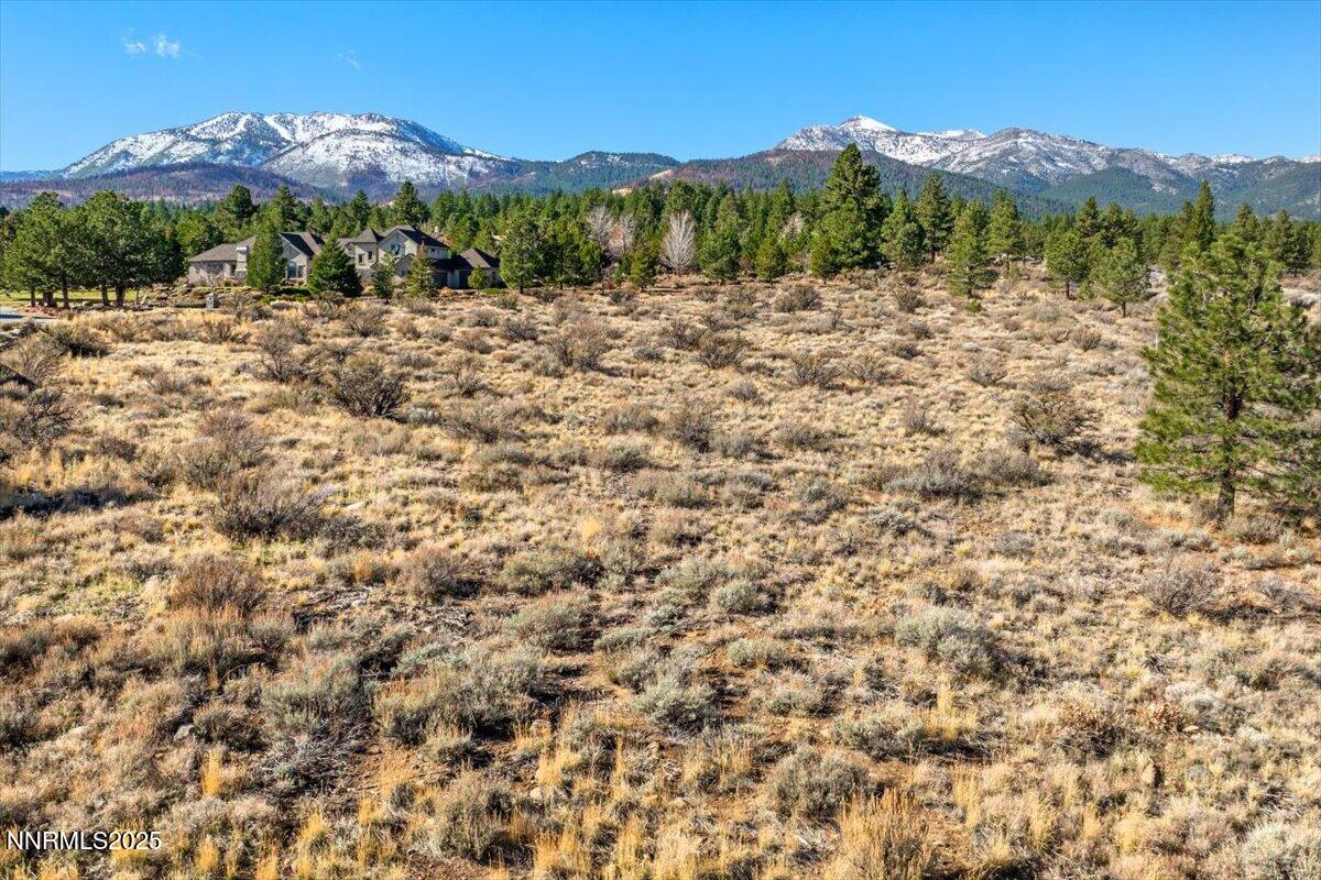 205 Paddington Court Reno, NV 89511 - Photo 6 of 17 a view of a lush green field with mountains in the background