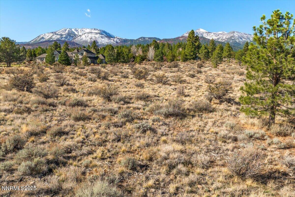 205 Paddington Court Reno, NV 89511 - Photo 7 of 17 a view of a forest with trees in the background