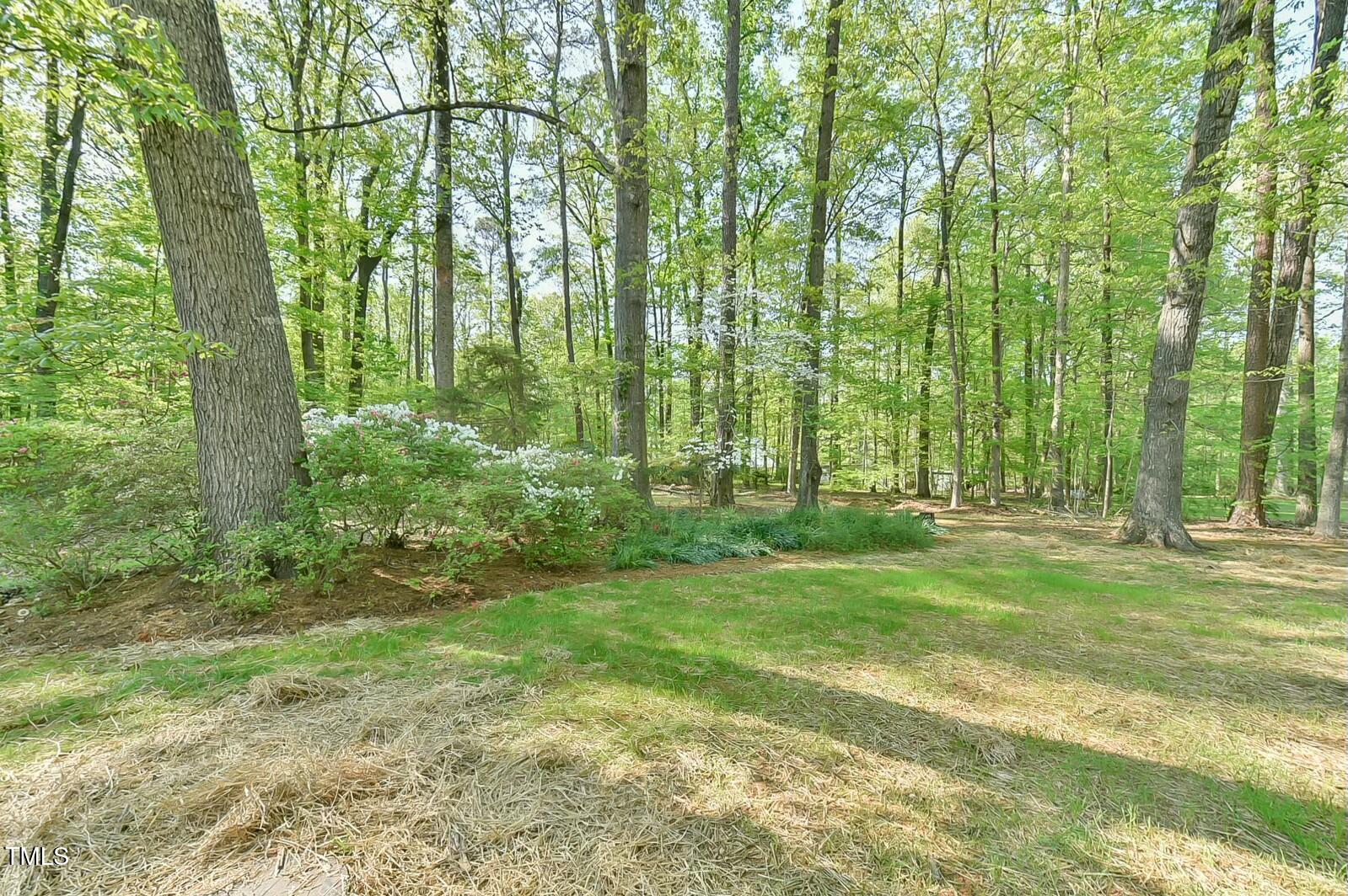 775 Old Graham Road Pittsboro, NC 27312 - Photo 41 of 52 backyard