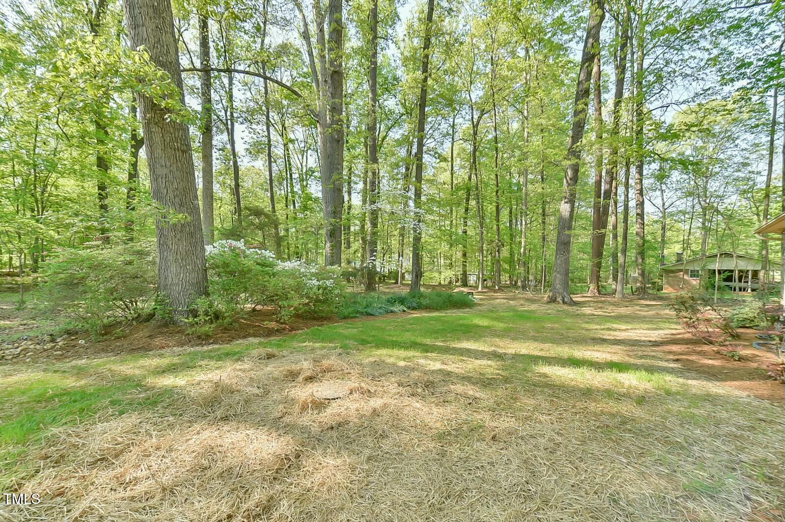 775 Old Graham Road Pittsboro, NC 27312 - Photo 42 of 52 backyard
