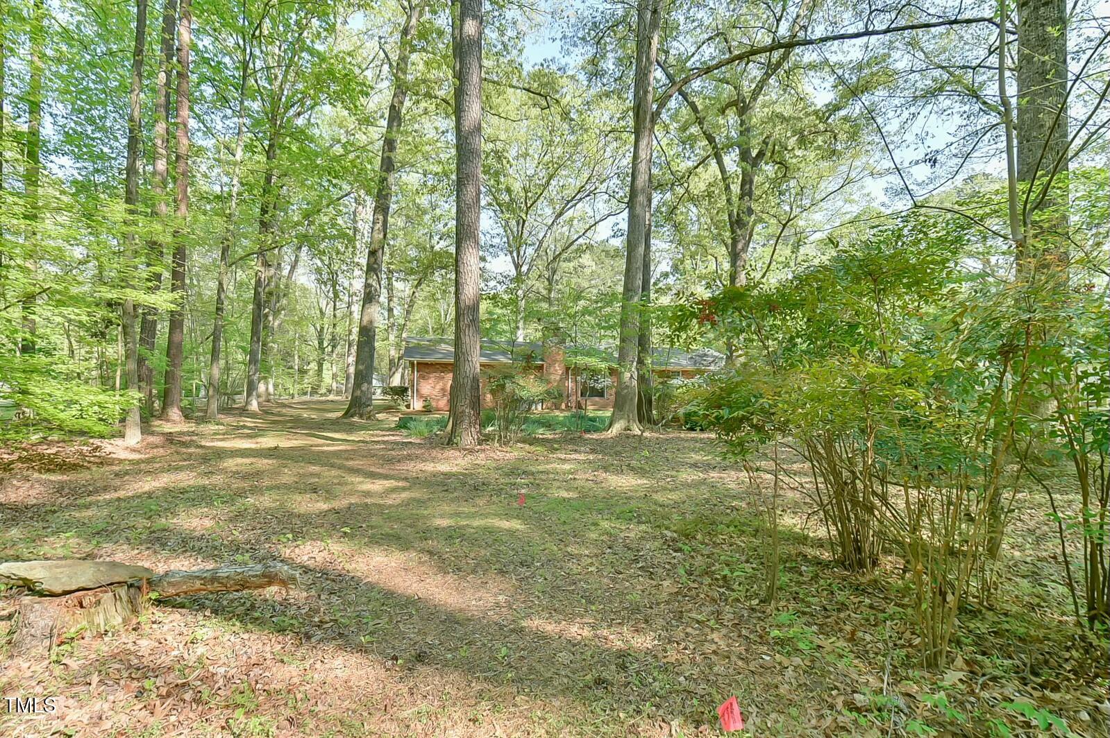 775 Old Graham Road Pittsboro, NC 27312 - Photo 44 of 52 backyard