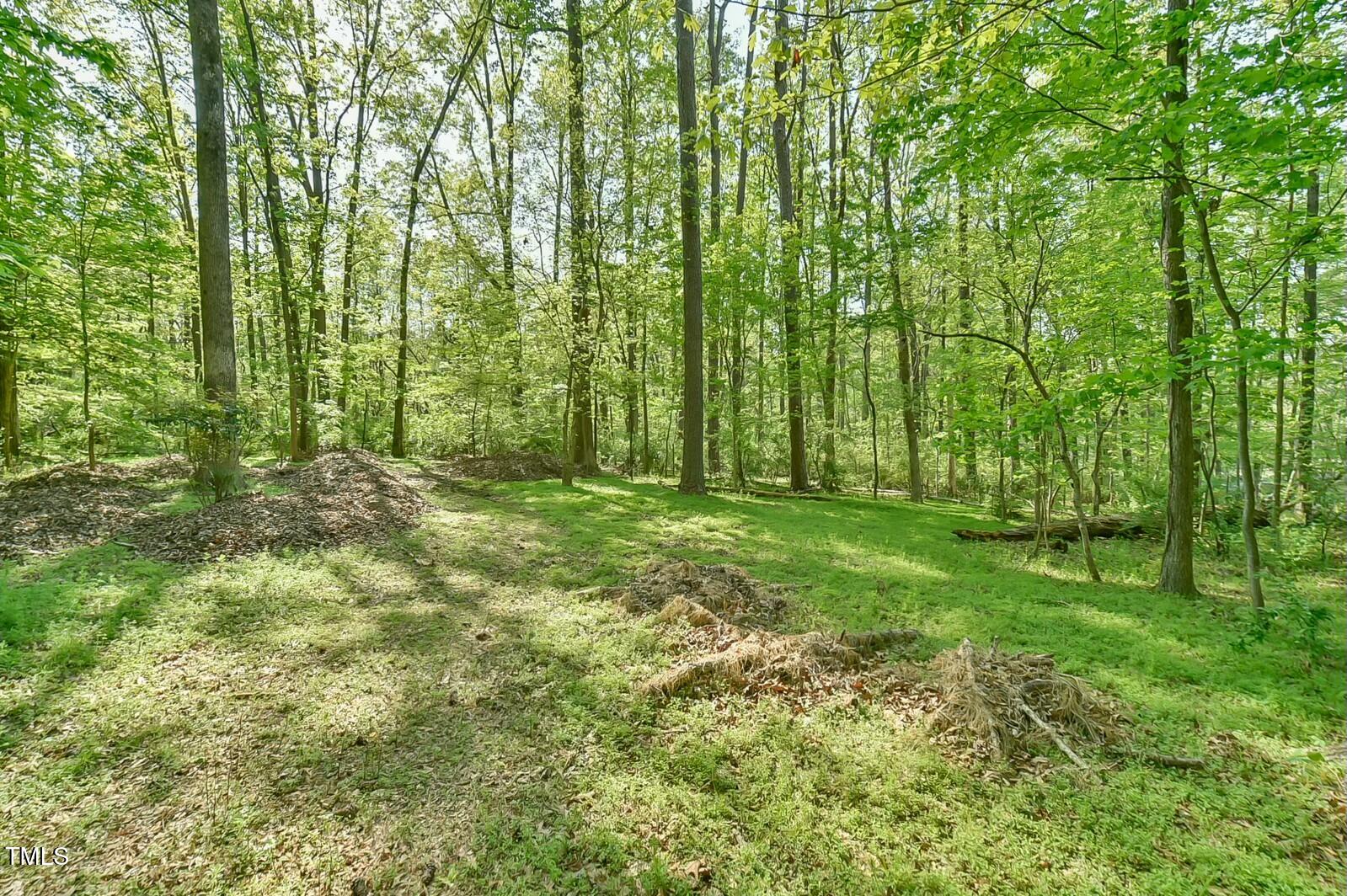 775 Old Graham Road Pittsboro, NC 27312 - Photo 45 of 52 back 40