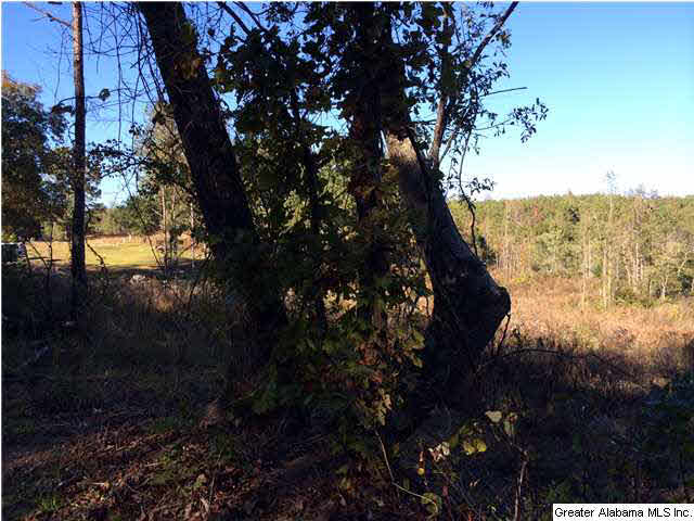 Copper Springs Road, Unit 17 Odenville, AL 35120 - Photo 5 of 7
