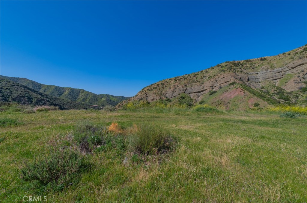 28741 Williams Canyon Road Silverado, CA 92676 - Photo 16 of 35 a view of a lush green field