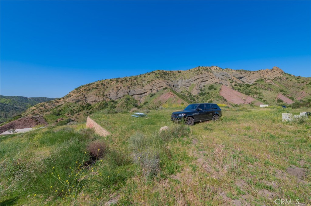 28741 Williams Canyon Road Silverado, CA 92676 - Photo 18 of 35 a view of a yard with a mountain