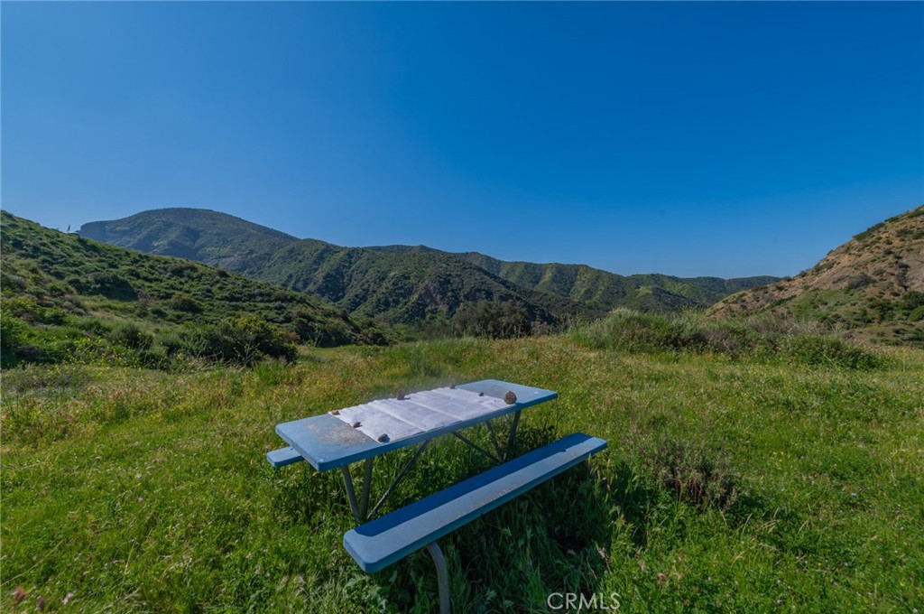 28741 Williams Canyon Road Silverado, CA 92676 - Photo 20 of 35 a view of a lush green field