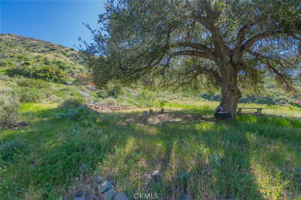 28741 Williams Canyon Road Silverado, CA 92676 - Photo 23 of 35 a backyard of a house with lots of green space