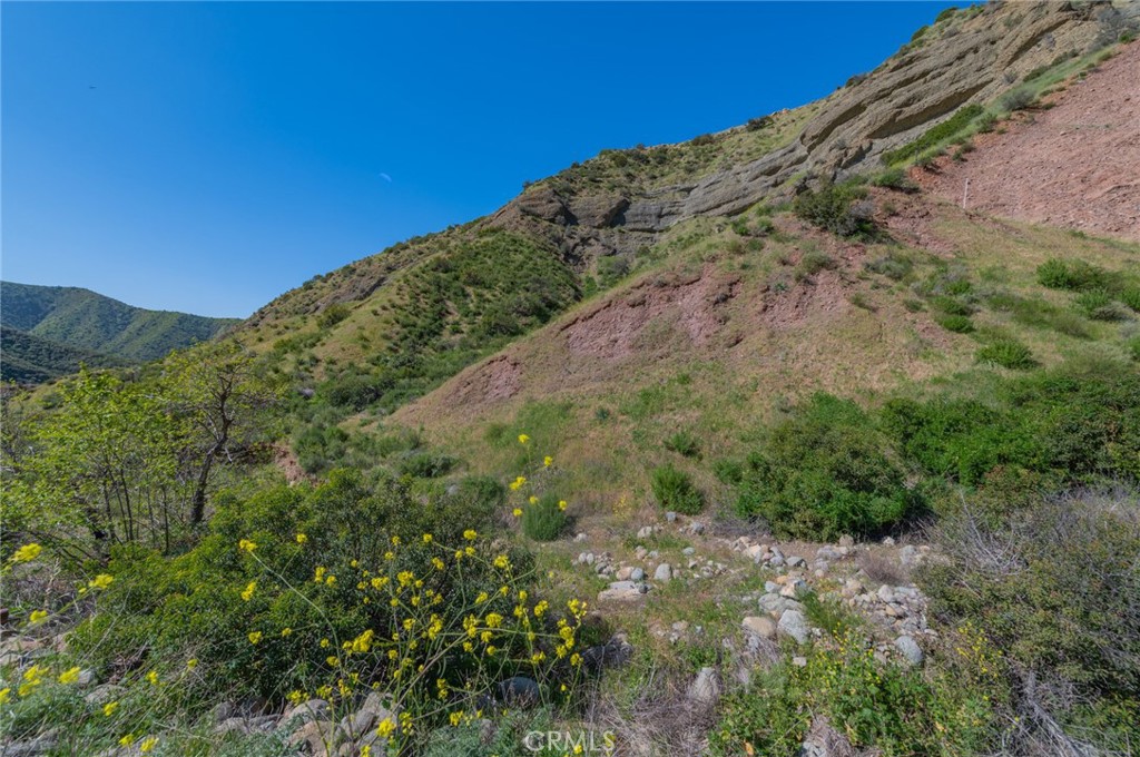 28741 Williams Canyon Road Silverado, CA 92676 - Photo 24 of 35 a view of a large tree with a yard