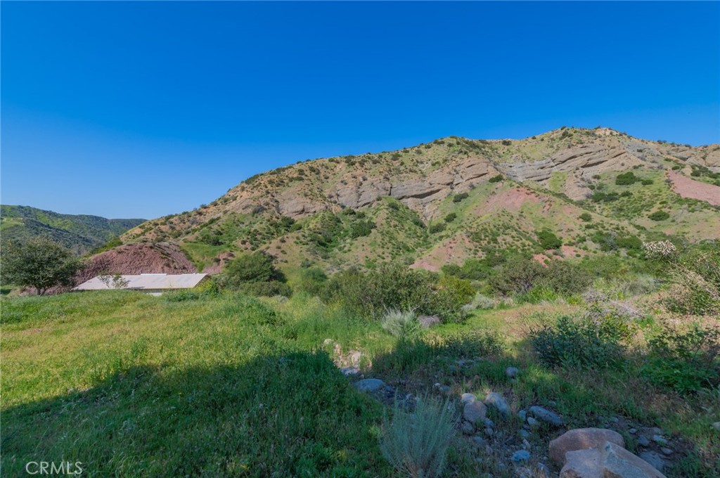 28741 Williams Canyon Road Silverado, CA 92676 - Photo 25 of 35 a view of a big yard