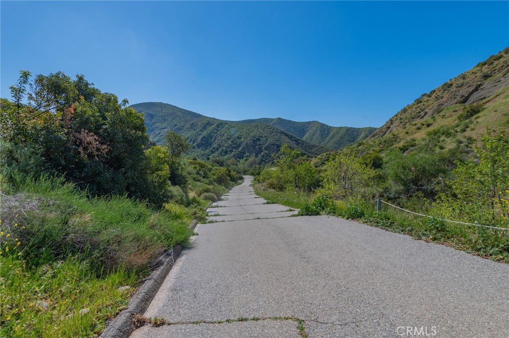 28741 Williams Canyon Road Silverado, CA 92676 - Photo 27 of 35 a view of a road with a yard