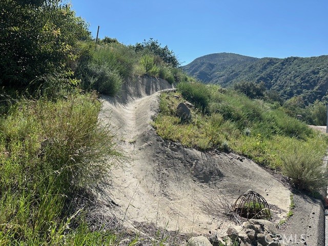 28741 Williams Canyon Road Silverado, CA 92676 - Photo 28 of 35 a view of a forest with a forest