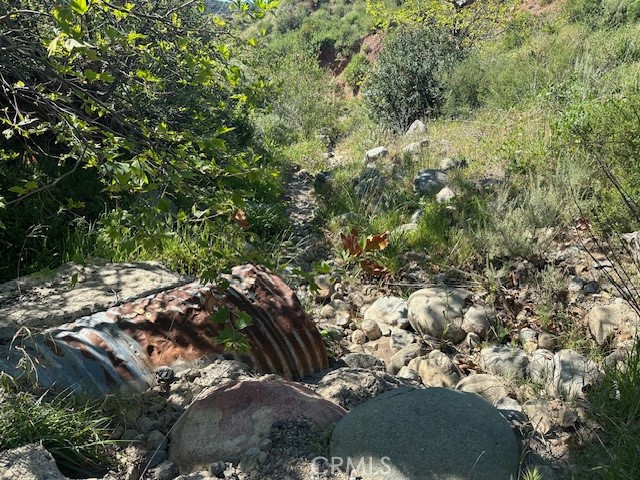28741 Williams Canyon Road Silverado, CA 92676 - Photo 29 of 35 a view of a large yard