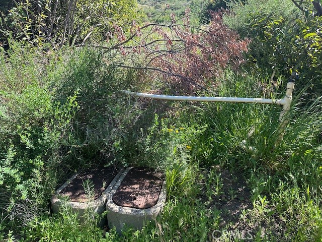 28741 Williams Canyon Road Silverado, CA 92676 - Photo 30 of 35 a backyard of a house with lots of green space and plants